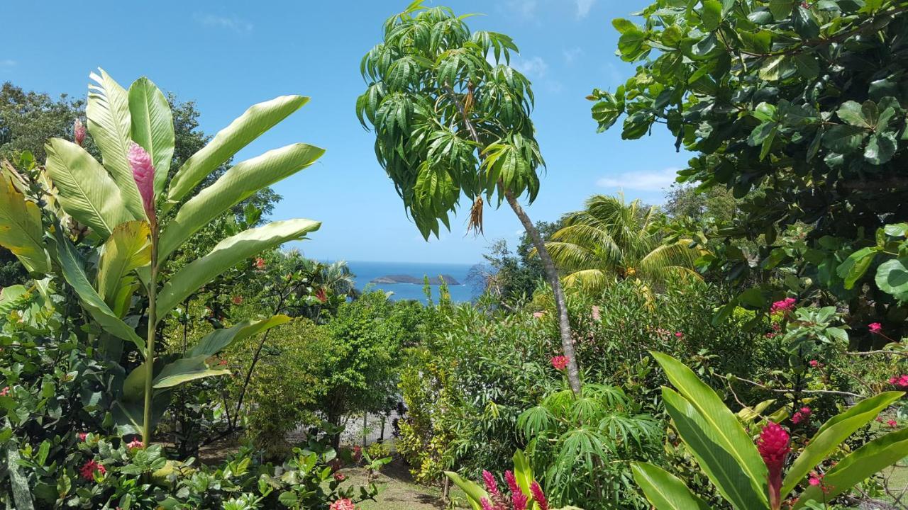 Bien Etre Guadeloupe Ferienhaus Bouillante