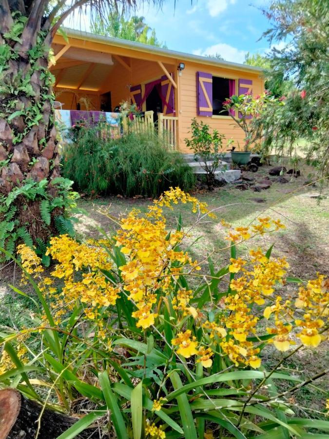 Hébergement de vacances Bien Etre Guadeloupe Bouillante