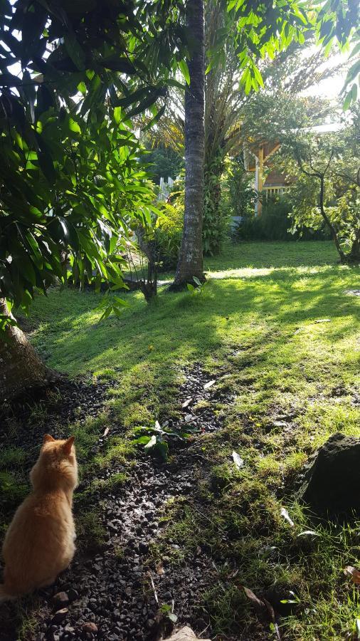 Bien Etre Guadeloupe Bouillante